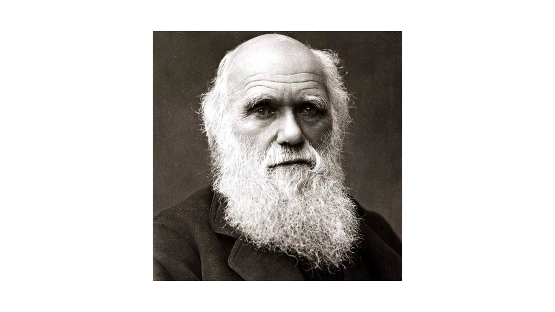 Charles Darwin